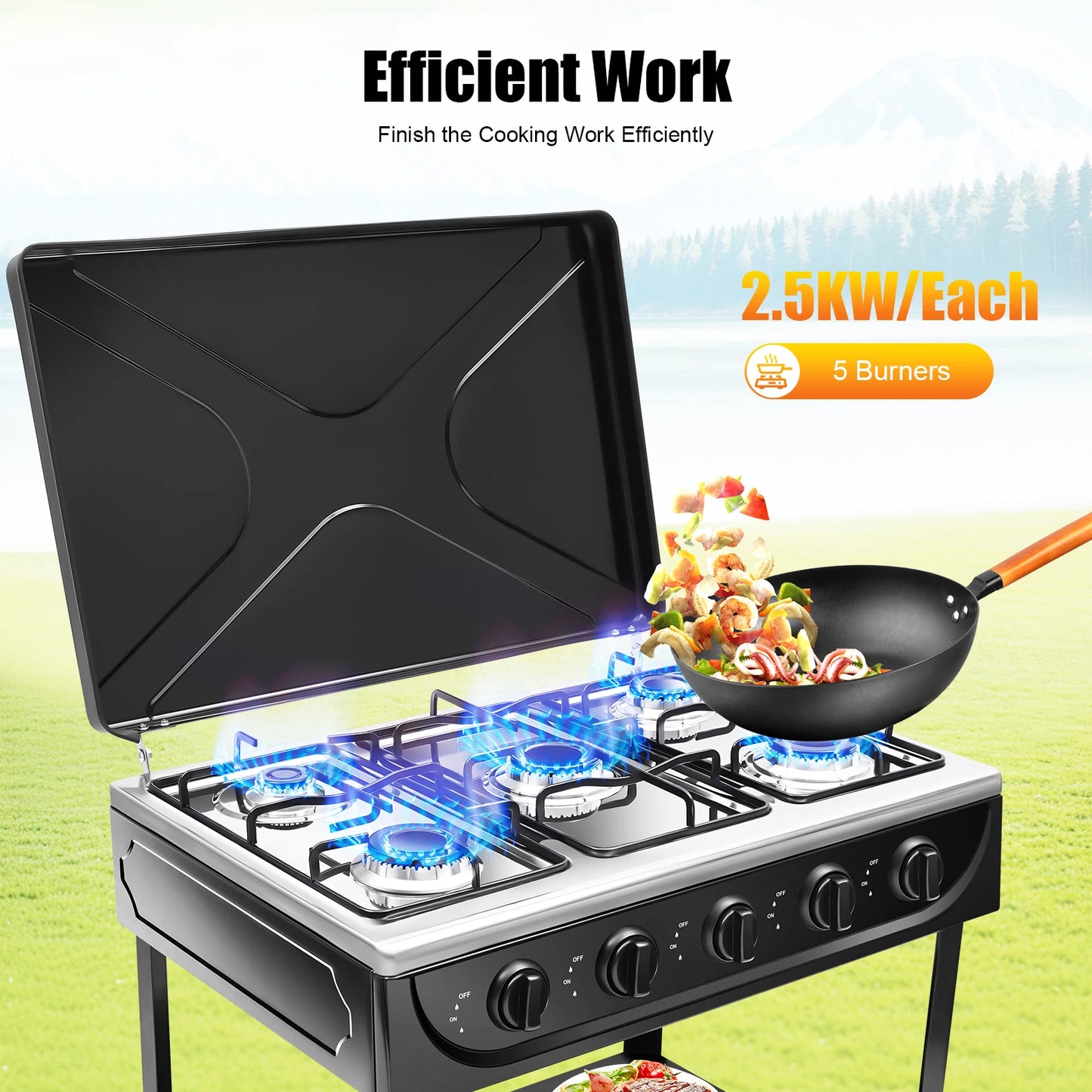 Gas Stove 5 Burner With Two Point Five Kilowatt Power